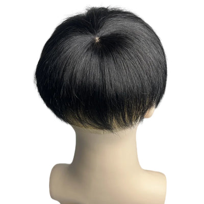 Men's Natural Hair Wig