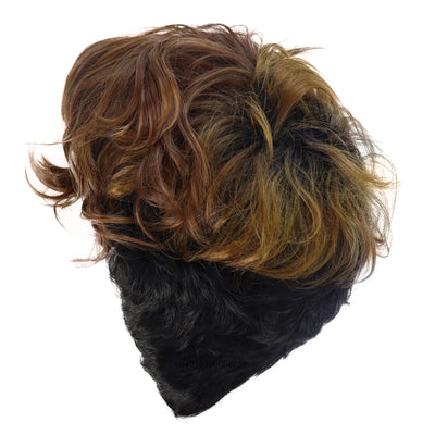 OmbreCurls: Real Afro Wig for Women