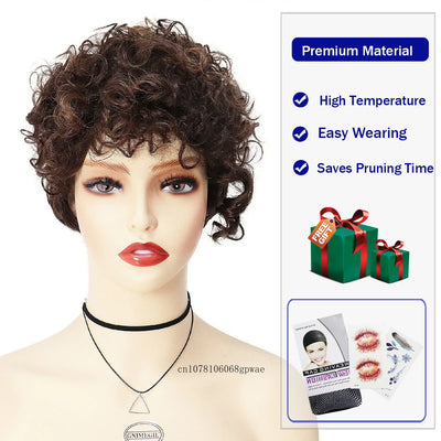 Soft Brown Curls Wig