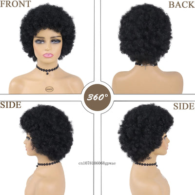 Afro Kinky Curly Real Hair Wig